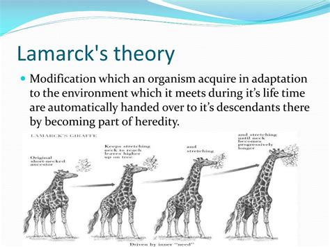 Lamarck Evolution Theory