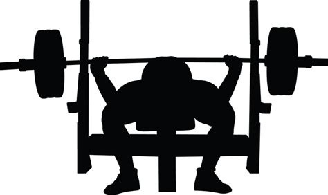 Powerlifting Olympic weightlifting Bench press - barbell png download - 800*477 - Free ...