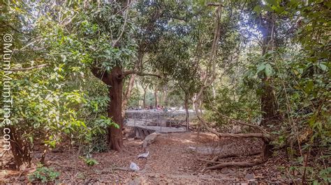 Karnala Bird Sanctuary: One-Day Picnic Spot Near Mumbai