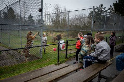 Greater Vancouver Zoo plans major revamp with safari-style park, as ...