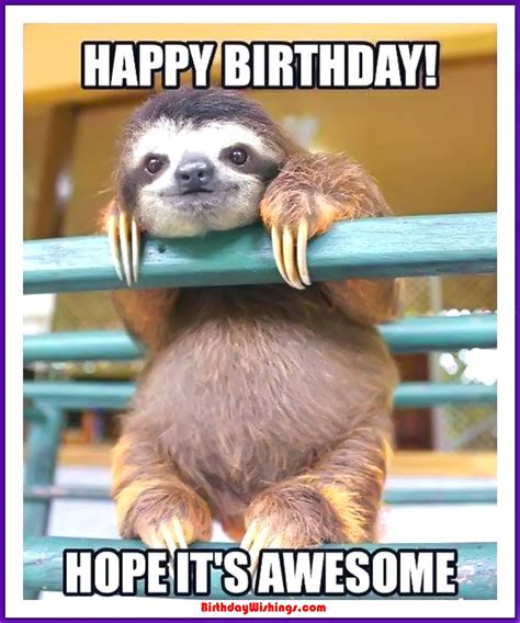 Funny Happy Birthday Memes With cats, Dogs & Funny Animals