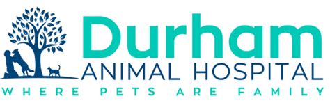 Durham Animal Hospital | Veterinarian in Durham | Dr. Miller