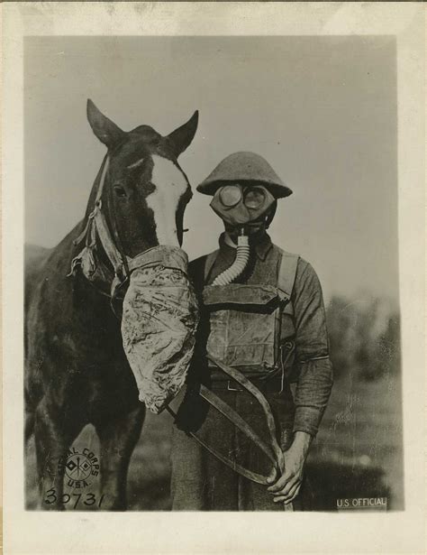 Reeve17408 | Soldier and horse with gas mask. Selected by Li… | Otis ...