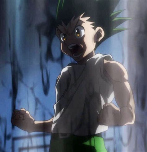 Gon Freecss ~Hunter X Hunter | Hunter anime, Hunter x hunter, Anime hxh