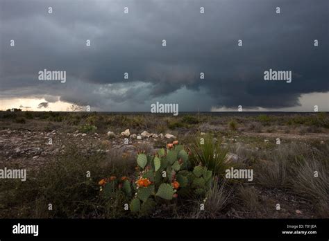 , Pecos County, Texas, USA Stock Photo - Alamy