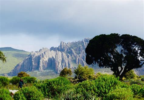 Bale Mountains Trek - Golden Ethio Riding Tours