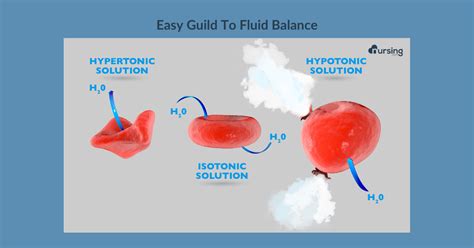 Hypertonic, Hypotonic, Isotonic . . . What-the-Tonic? | NURSING.com