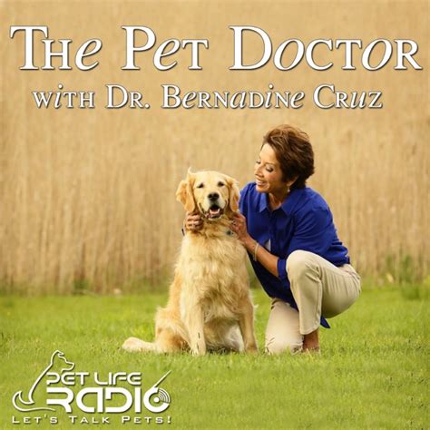 The Pet Doctor - Keeping your pets healthy & pet wellness - Pets & Animals on Pet Life Radio ...