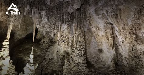 Best Trails in Carlsbad Caverns National Park | AllTrails