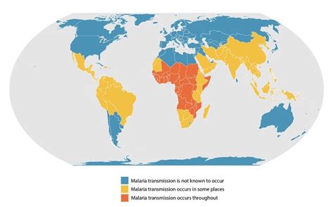 Premiers cas de paludisme d'origine locale aux États-Unis en 20 ans | vih.org