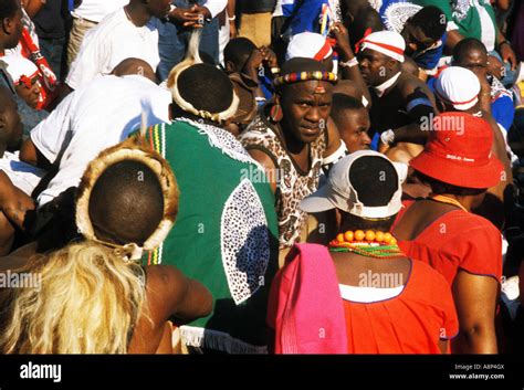 South Africa Zulu Reed Dance Ceremony Zulu Reed Dance