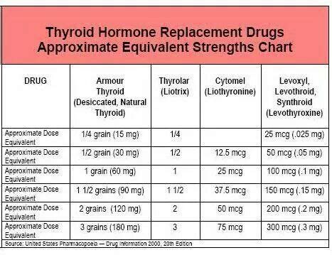 Drug Interactions Synthroid Vyvanse Medication