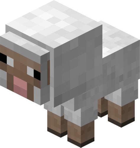 Sheep - Minecraft Wiki