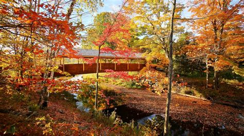 New York Fall Foliage- 17 Places to Enjoy Fall Colors in NY