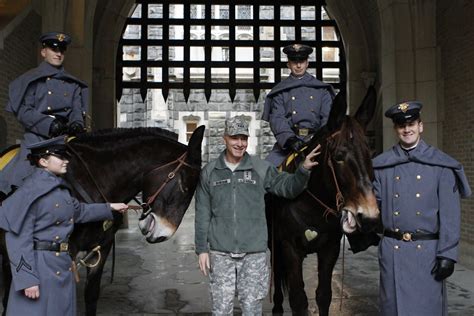 West Point's new Army Mule Mascots Ranger III, Stryker assume duties | Article | The United ...