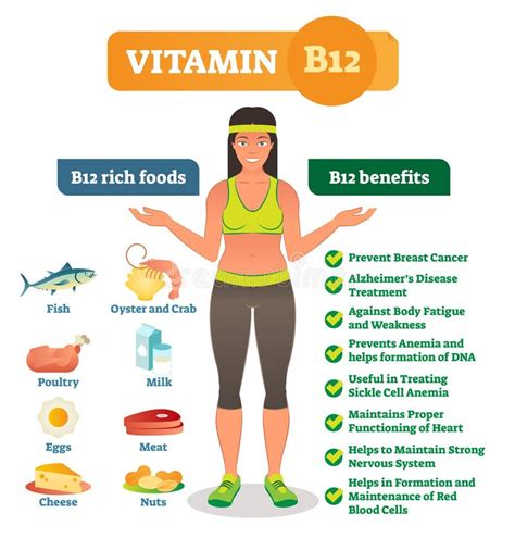 Vitamin B12 Food Chart