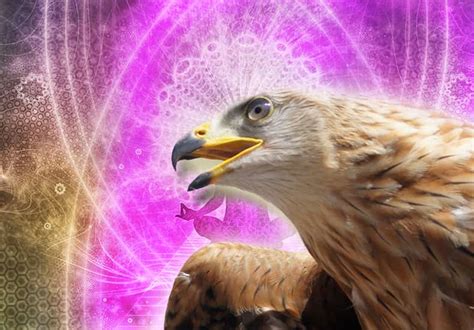 Learn the meaning of Eagle Spirit Animal | Personality and Symbolism ...