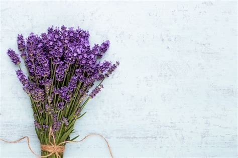 Premium Photo | Lavender flowers on a white background