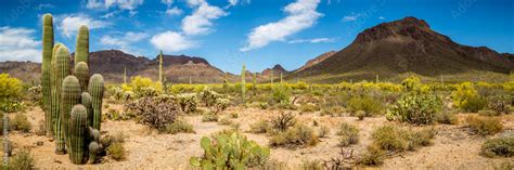 Arizona Desert Landscape Stock Photo | Adobe Stock