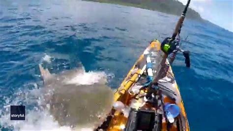 Tiger shark attacks kayaker off Hawaii coast: ‘Mistook me for the seal ...