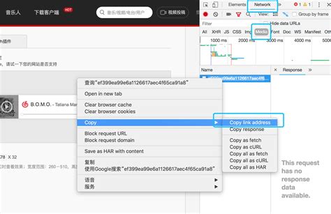 用网易云生成你自己的音乐外链、提取lrc歌词文件、专辑图片。 | Rachel Song