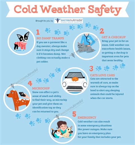 10 Cold Weather Pet Safety Tips | Combs Veterinary Clinic