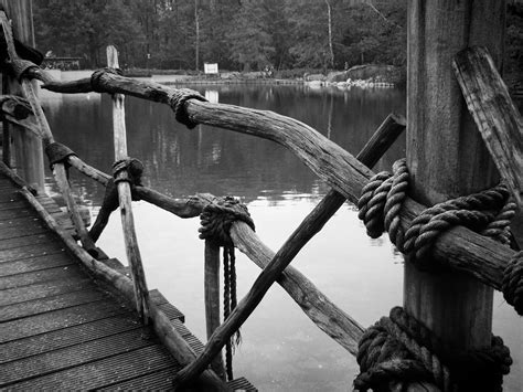 Free Images : landscape, tree, water, winter, rope, black and white, bridge, lake, view, park ...