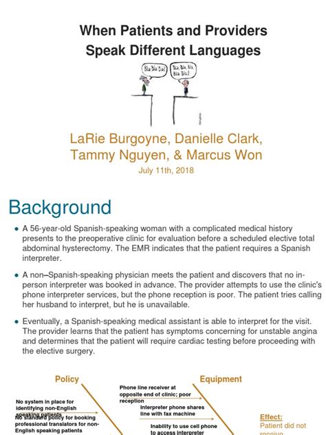 Qi Project | PDF | Language Interpretation | Patient