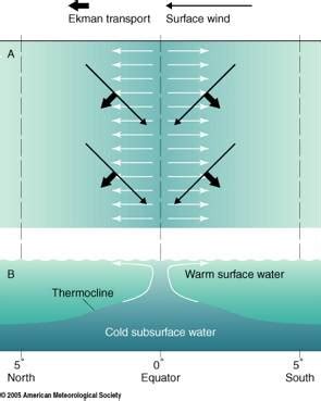 Ocean Motion : Definition : Wind Driven Surface Currents - Upwelling and Downwelling