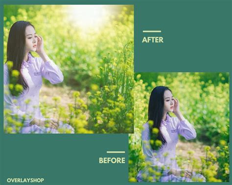 20 Sunshine Overlays Photoshop Overlays Light Overlays Sun | Etsy