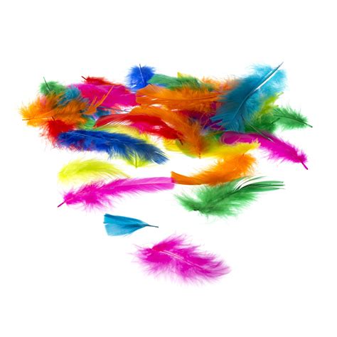 Bright Craft Feathers 5g | Hobbycraft