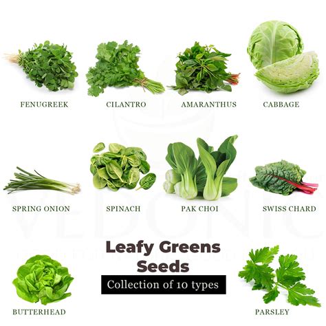 Buy Leafy Greens Seeds Online | Garden Supply – Vedonic