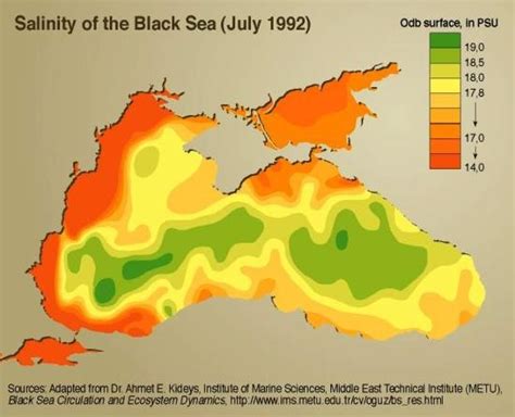 Infographics, Maps, Music and More: Black Sea Pollution