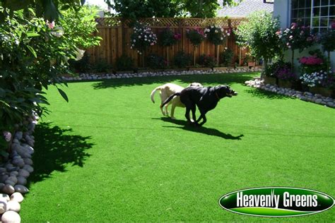 Diy Artificial Grass For Dogs - Artificial or Synthetic Grass for Dog Run Areas - The artificial ...