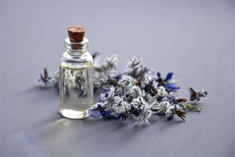 Cosmetic Oil Free Stock Photo - Public Domain Pictures
