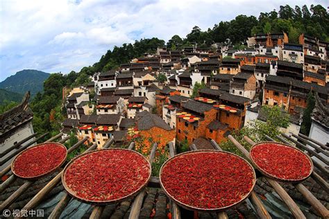 Autumn harvest brings fall colors to ancient village in E China’s Wuyuan - Global Times