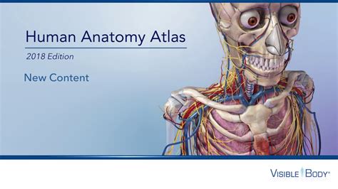 Visible Body 3d Human Anatomy Atlas