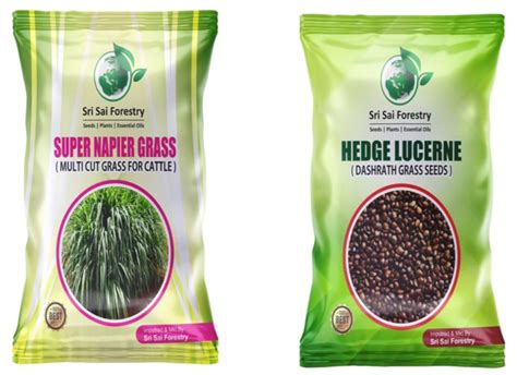 Super Napier Grass Seeds | Hedge Lucerne Grass Seeds | Combo Pack - 200 Gram | Animal Fodder ...