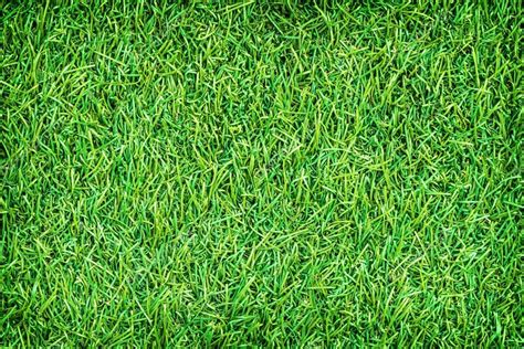 Green artificial turf texture for background — Stock Photo © phatthanit ...