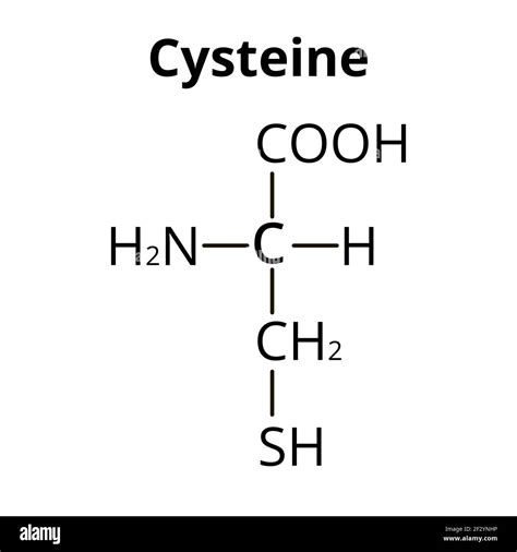 Amino Acid Chemical Structure