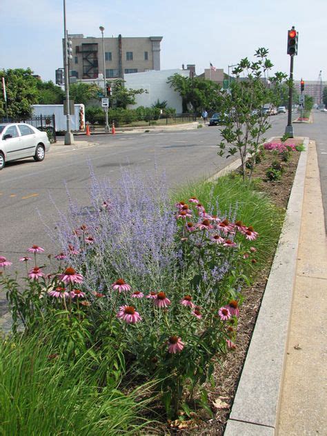 9 Median strips ideas | drought tolerant landscape, xeriscape, front yard landscaping