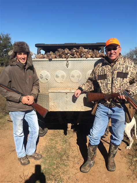 Quail Hunting - Guided Quail Hunts in Texas | Schmidt Double T Ranches