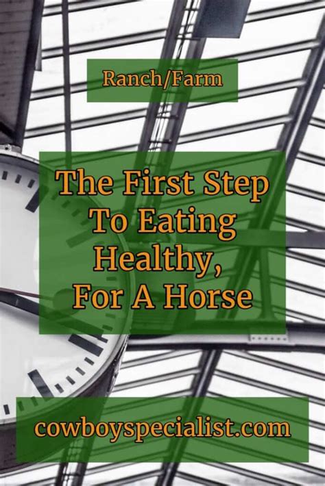 The First Step To Eating Healthy, For A Horse ⋆ Cowboy Specialist