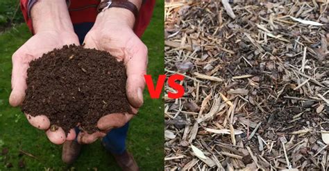 Compost Vs. Topsoil: Which Is Better to Use?