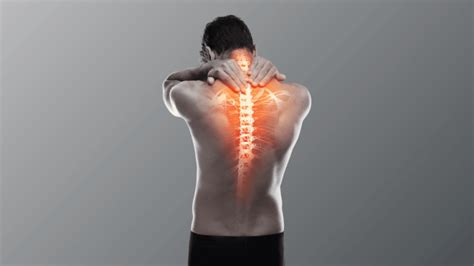 What can be the leading causes of back pain - World of Articles