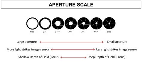 Aperture & F-Stop