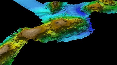 Volcanic seamounts found near Tasmania a whale migration hotspot | The Mercury