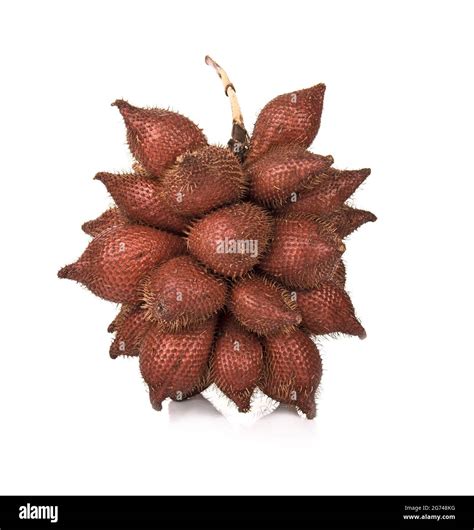 Salak tree hi-res stock photography and images - Alamy