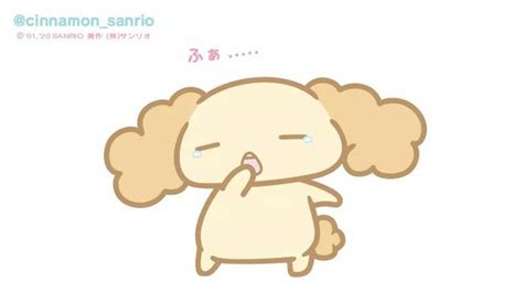 Chiffon | Sanrio wallpaper, Sanrio, Sanrio characters