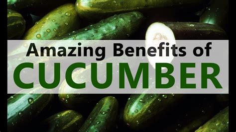 10 Amazing Health Benefits of Cucumber And Uses – Wealth Result